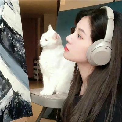 阳光下的石头